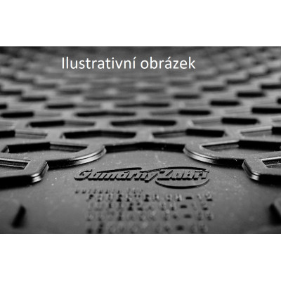 Gumové autokoberce Guzu na Citroen Jumpy, od roku 2007 - 2016